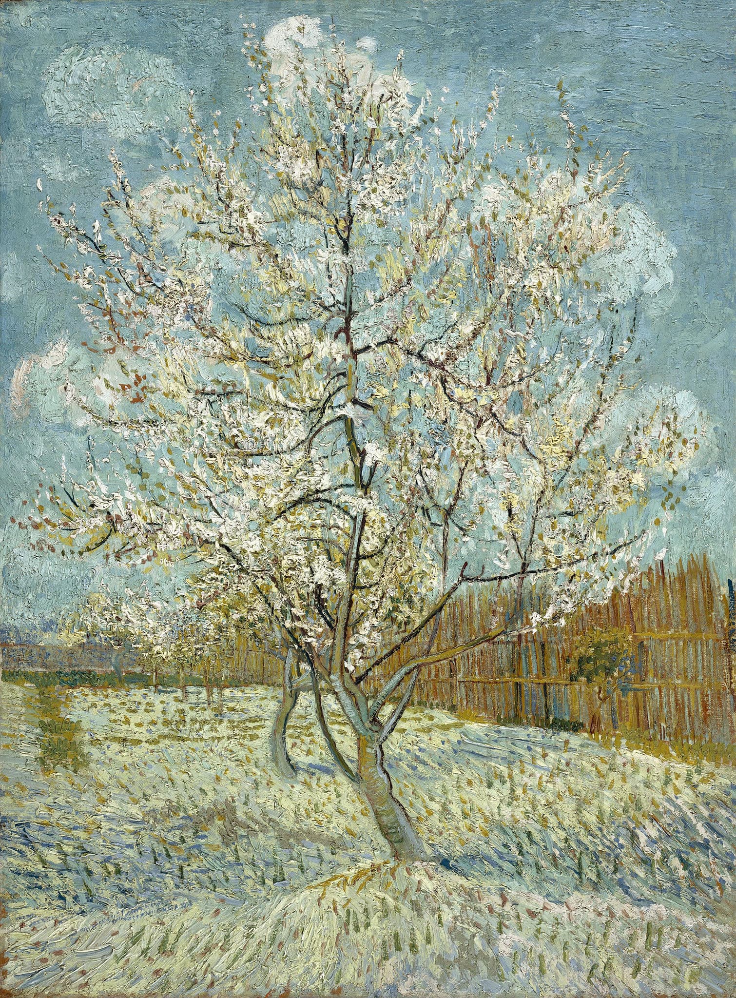 The Pink Peach Tree, Vincent van Gogh, 1888
